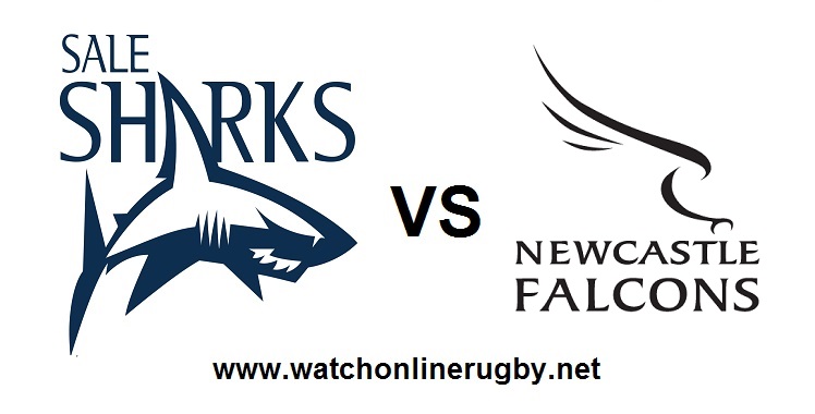 live-2018-sharks-vs-newcastle-falcons