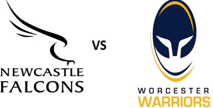 Live Worcester Warriors VS Newcastle Online