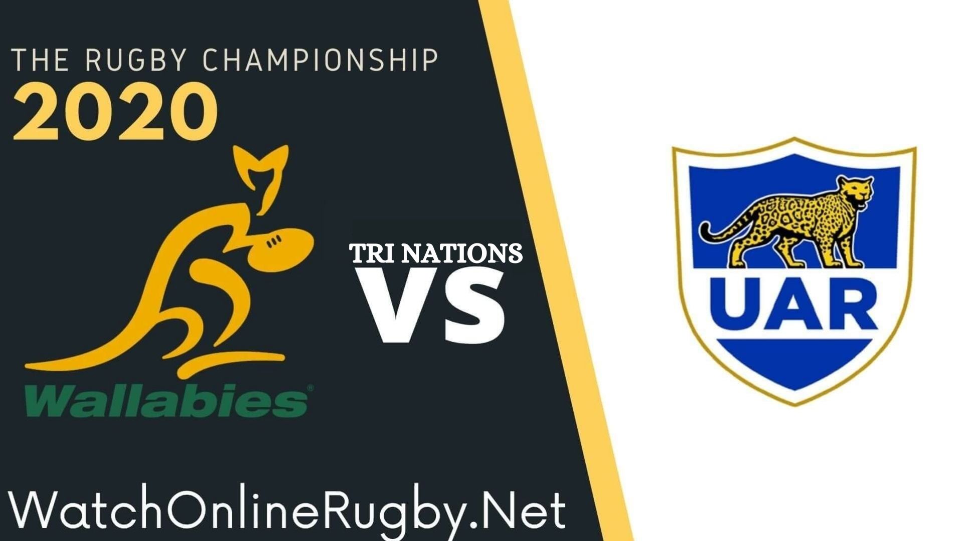 Springboks Vs Argentina Rugby Championship Tickets On Sale