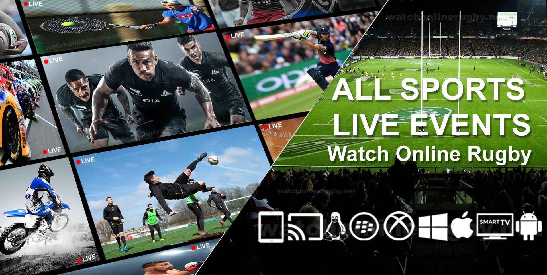 watch pro14 rugby online free
